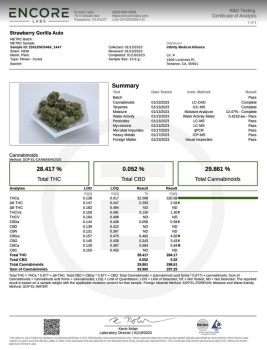 Preview: Samen 3+1 Strawberry Gorilla Automatik Fast Buds